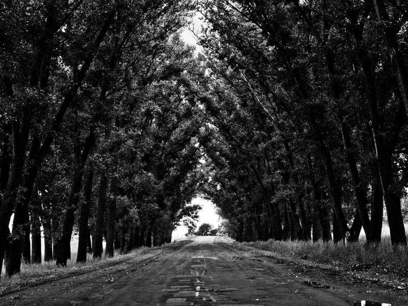 Sakura Arts — Cosplay Character Enamel Pin by Sakura Arts