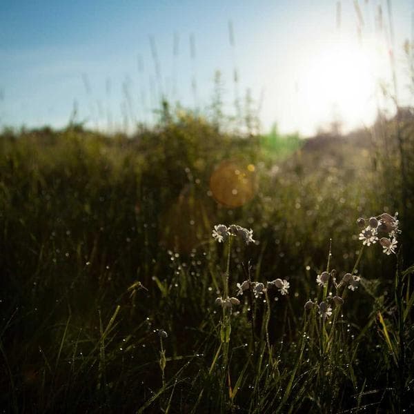 Custom Prop Commission — Full Weapon by PropSmith MY