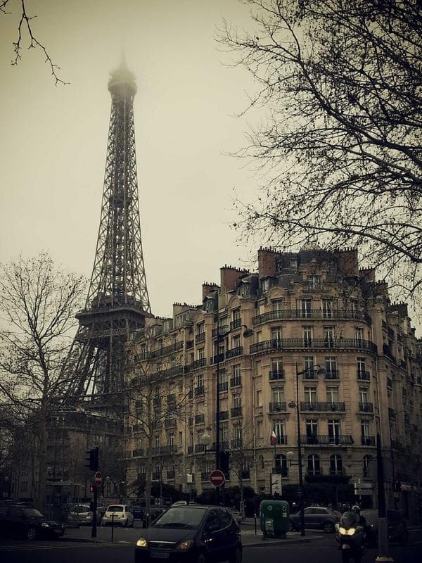 CF2025 Exclusive Art Print — Midnight Bloom by Sakura Arts