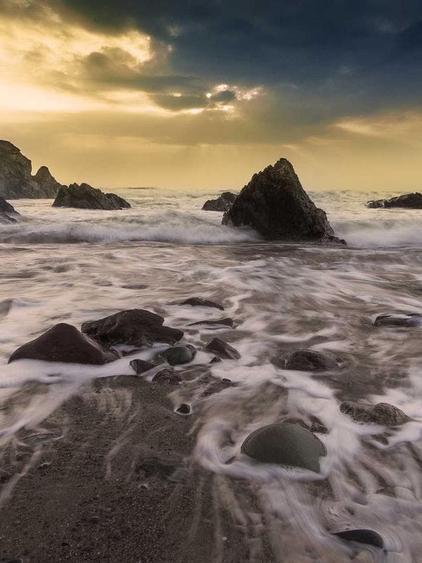 Animangaki 2025 Sticker Sheet by Sakura Arts